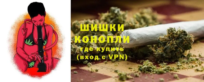 купить  цена  Гусев  Канабис White Widow 